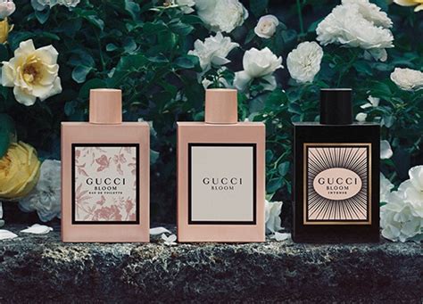 gucci duty free bali